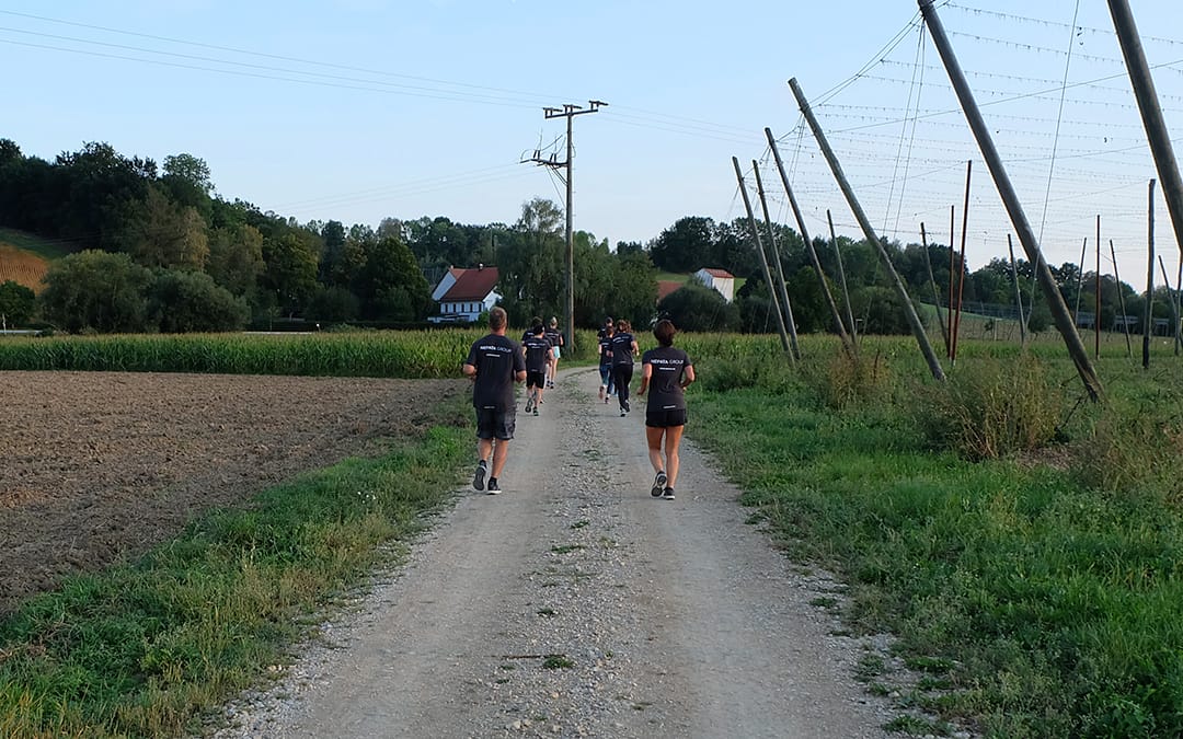 Läufer in dunklen Nepata-Group-Teamshirts joggen gemeinsam auf einem Feldweg zwischen Acker und Hopfengarten beim Firmenlauf 2020