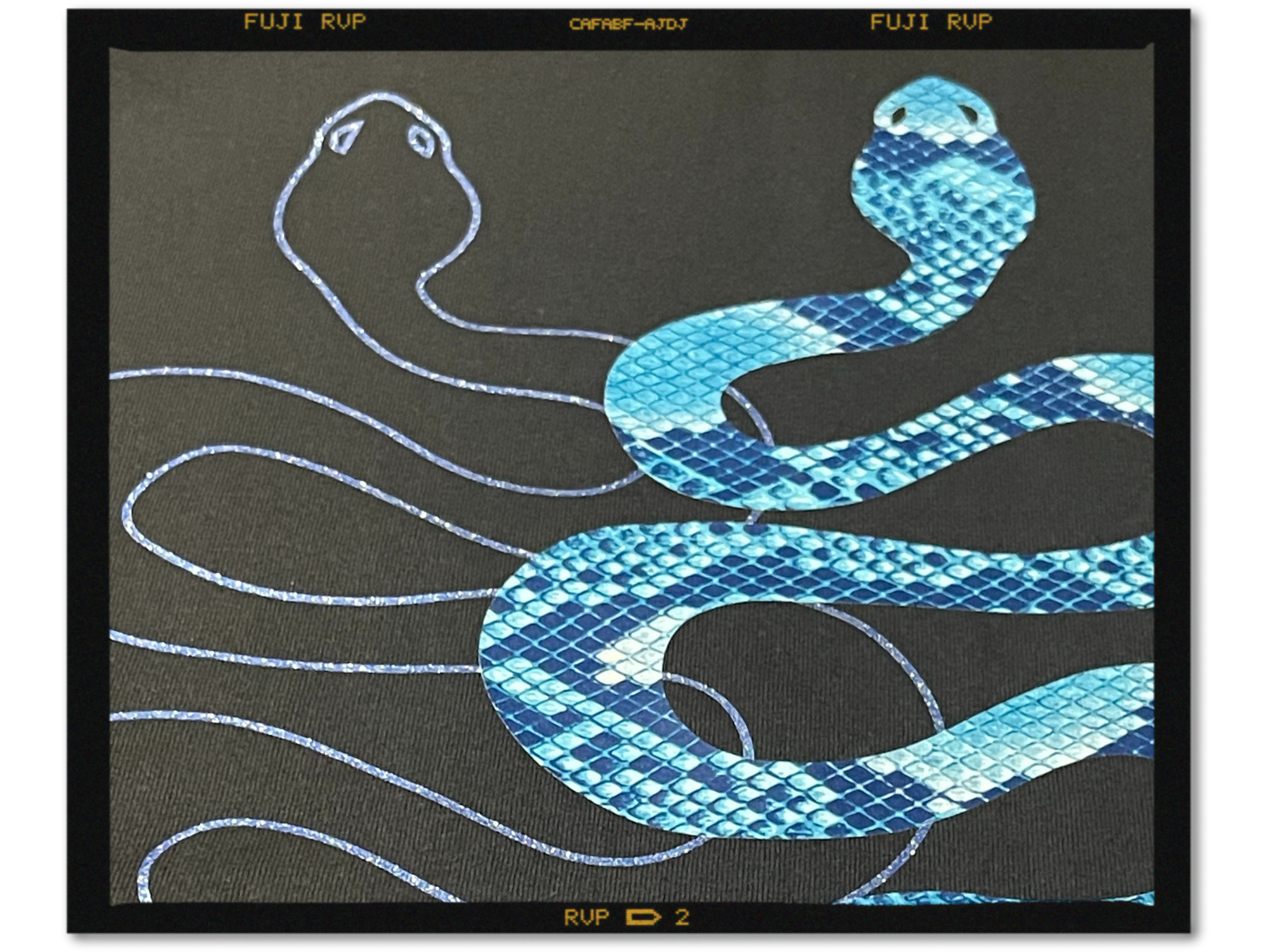Schwarzes T-Shirt mit zwei Schlangen aus SEF-Flexfolie: eine in FantasyFlex Blue Snake, eine als Glitzerumriss in Atomic Sparkle blue