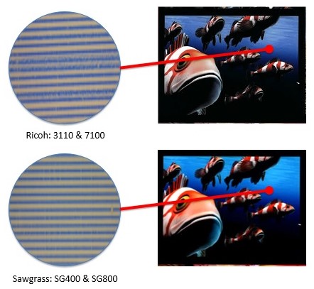 Pixelbildung: Lupenansicht eines Fischdrucks, Ricoh 3110/7100 mit unscharfen Streifen, Sawgrass SG400/SG800 mit feineren, gleichmäßigen Linien
