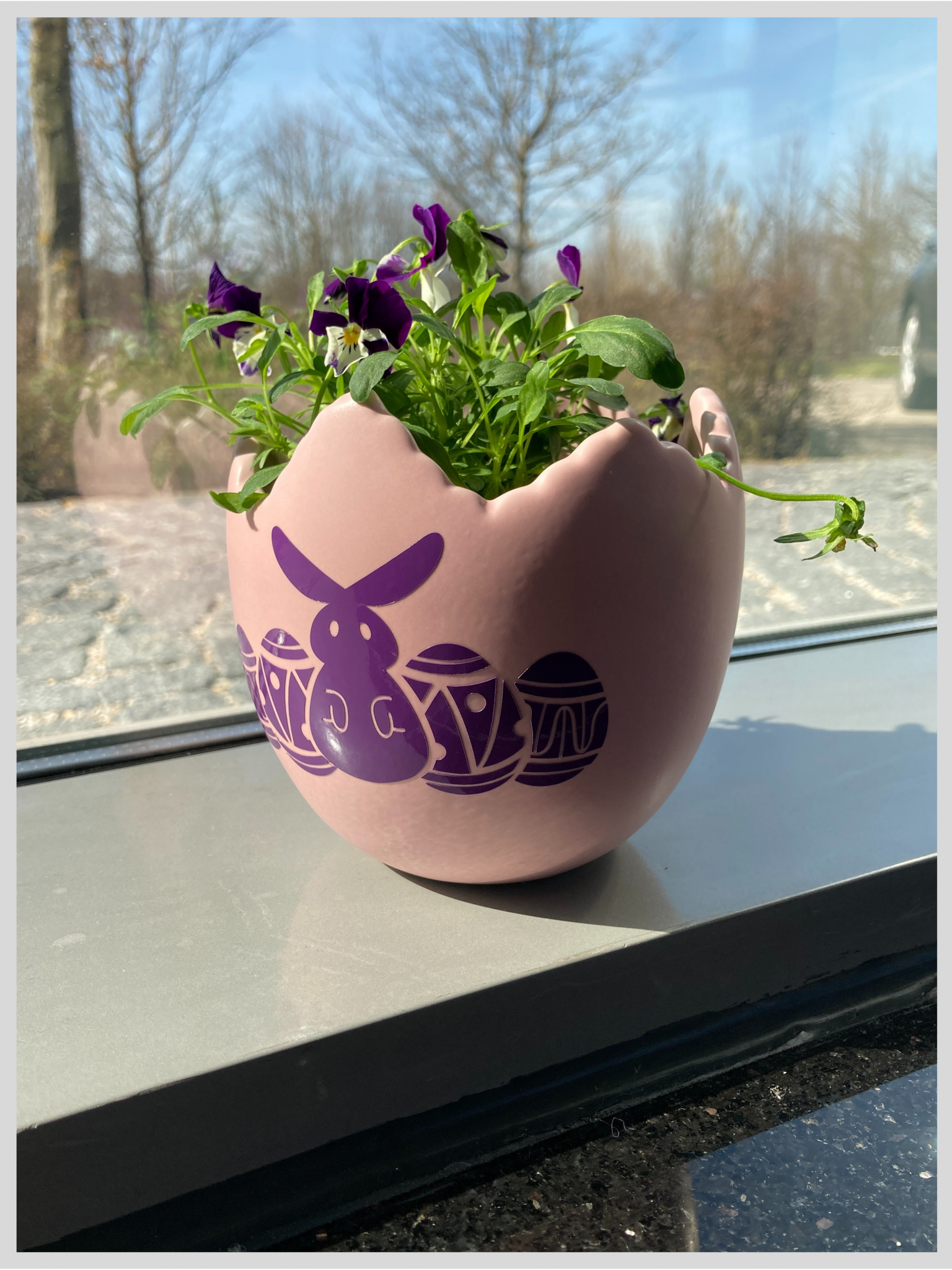 Rosa Eierschalen-Blumentopf mit lila geplottetem Osterhasen- und Ostereier-Motiv aus Selbstklebefolie, bepflanzt mit Hornveilchen