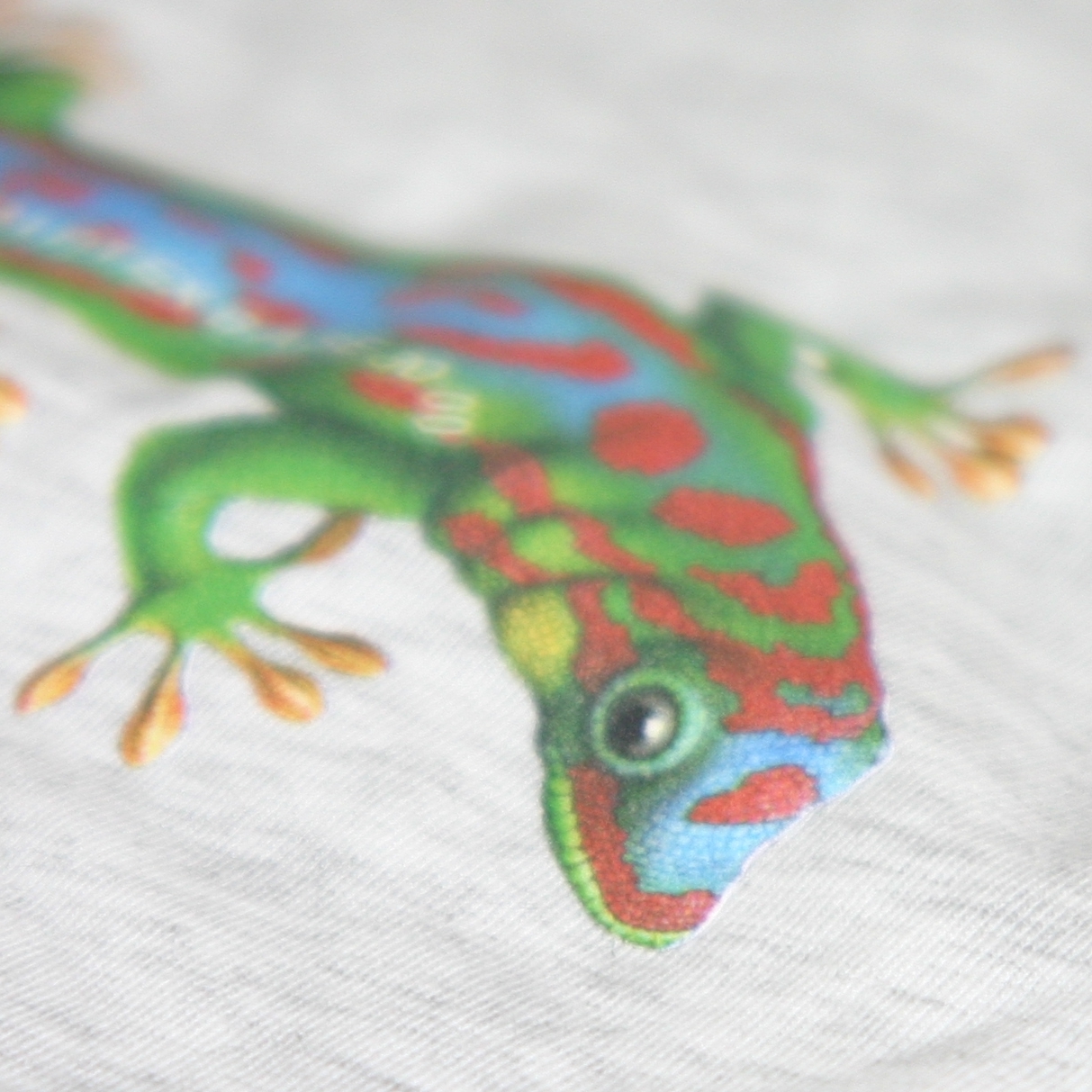 Nahaufnahme: farbiger Gecko in Grün, Blau und Rot als bedruckte Flexfolie auf hellgrauen Stoff gepresst, feine Farbdetails sichtbar