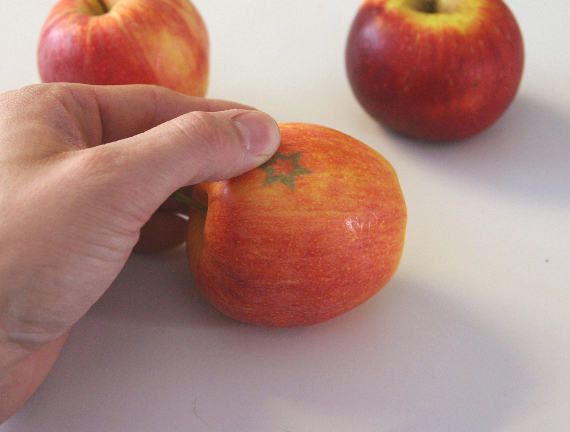 Hand drückt einen geplotteten grünen Sternaufkleber auf einen rot-gelben Apfel, zwei weitere Äpfel im Hintergrund – Schritt 2 der Bastelanleitung